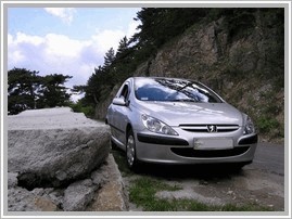 Peugeot 307 2.0 3dv
